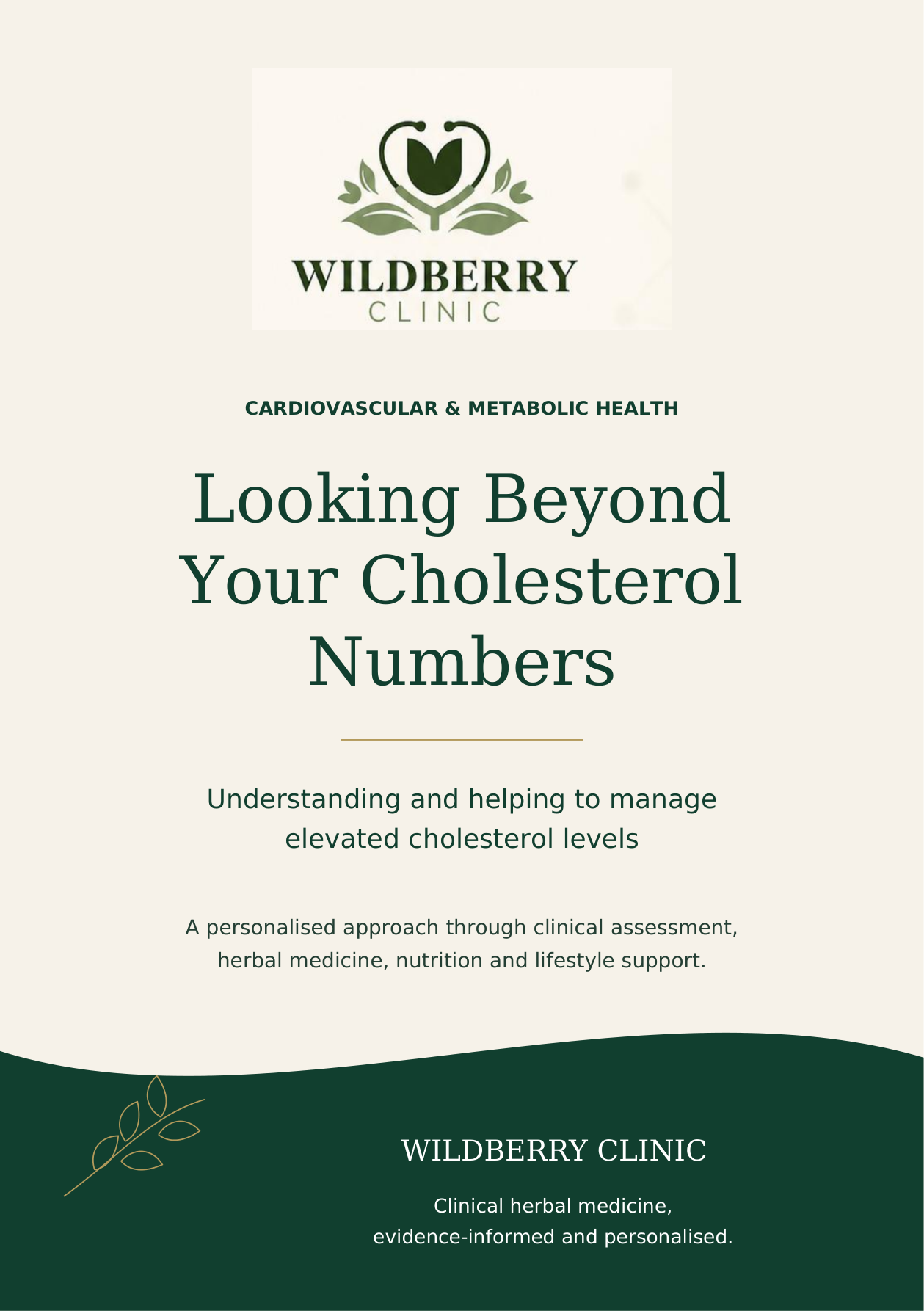 Cover of the Wildberry Cholesterol Brochure