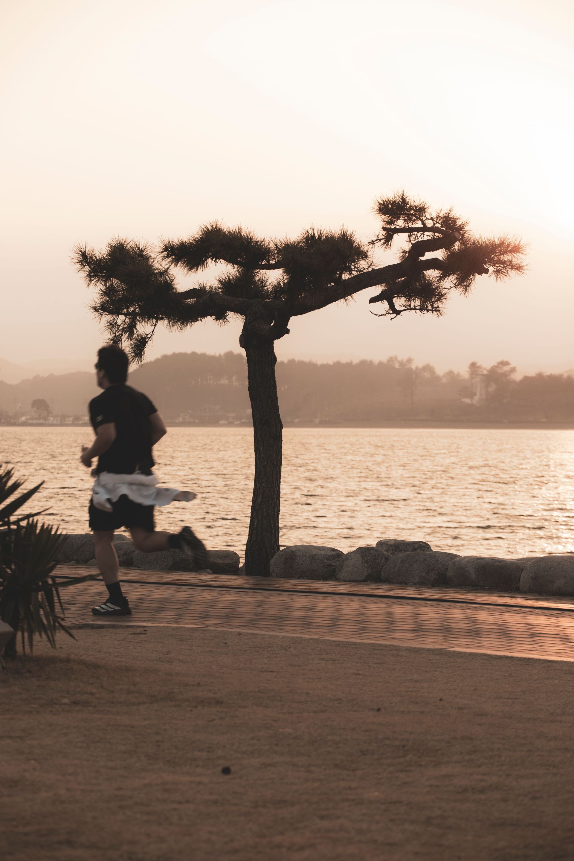 Man's metabolic health, waistline, muscle and hormones