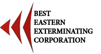Best Eastern Exterminating Corp Best Eastern Exterminating Corp