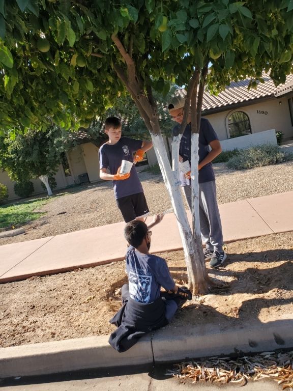 Three people stand and kneel around a tree in a sunny schoolyard.