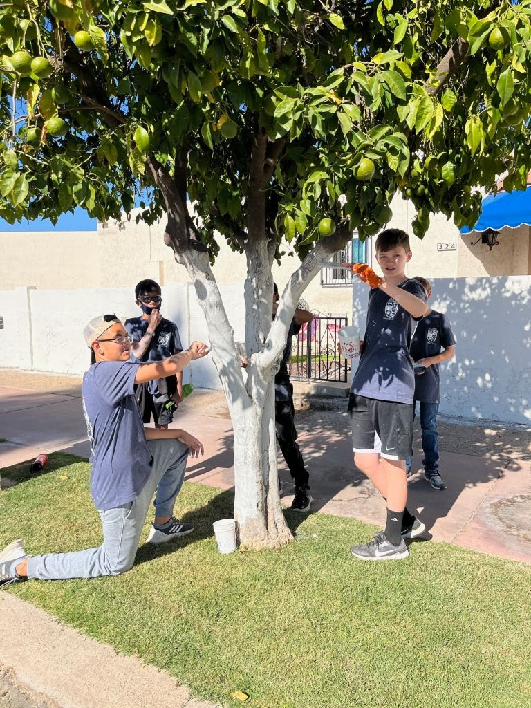 Three people posing and filming under a tree in a sunny park