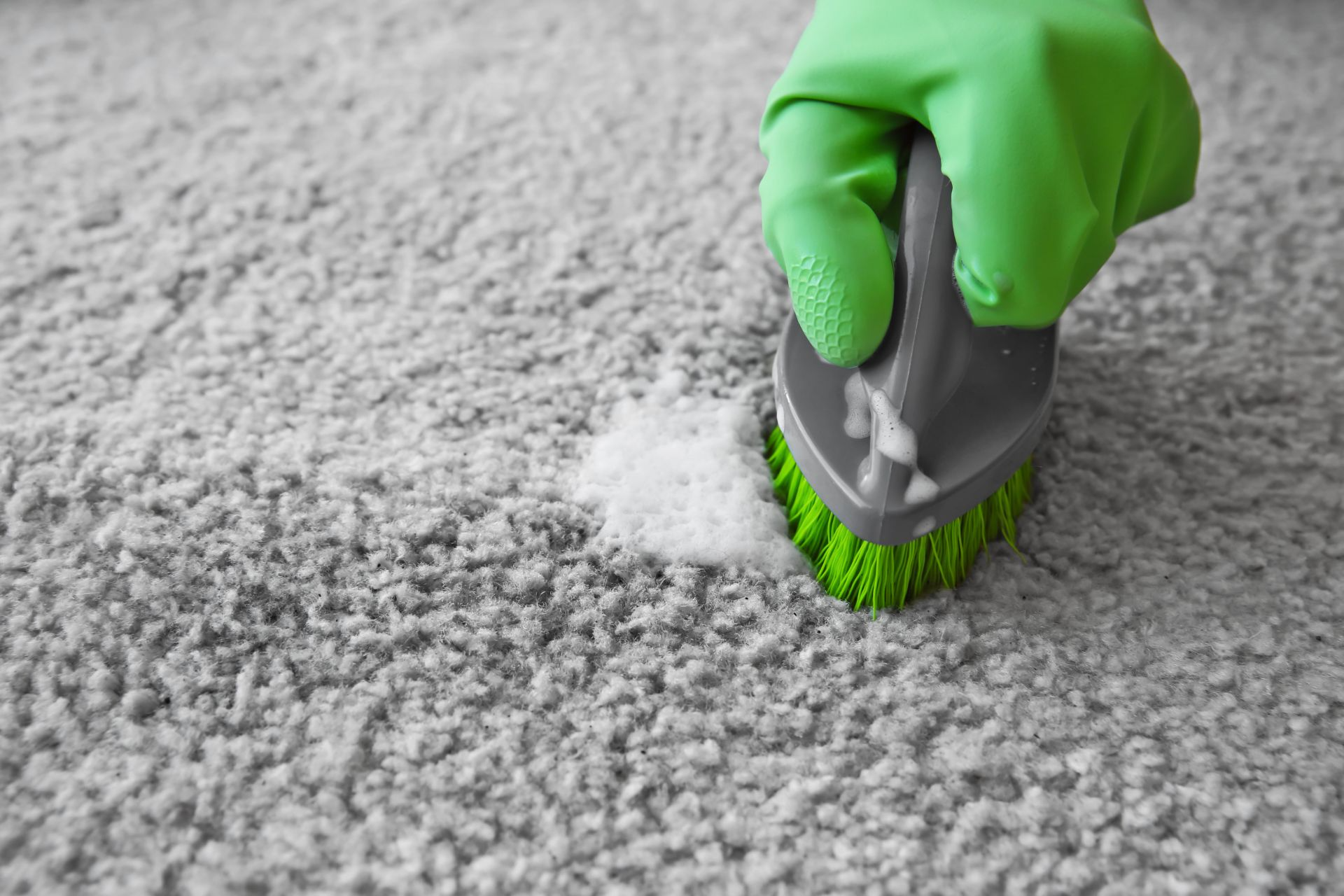 Una persona con un guanto verde strofina un tappeto chiaro con una spazzola e una soluzione detergente.