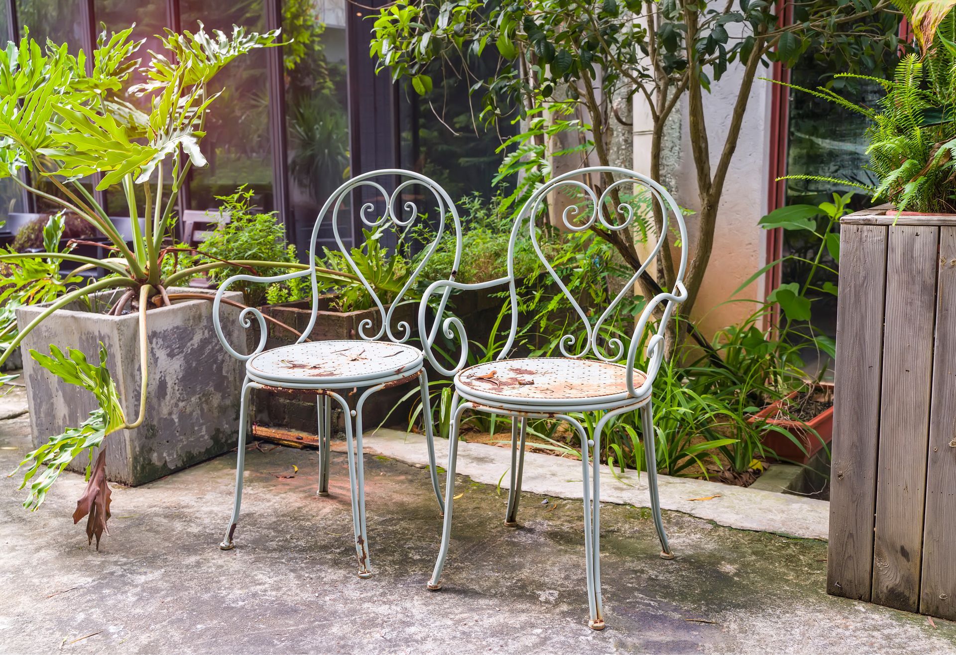 Two old steel chairs standing in a beautiful garden on a sunny day.