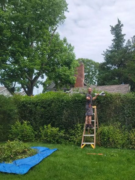 Trimming a hedge, landscaping services in Southampton