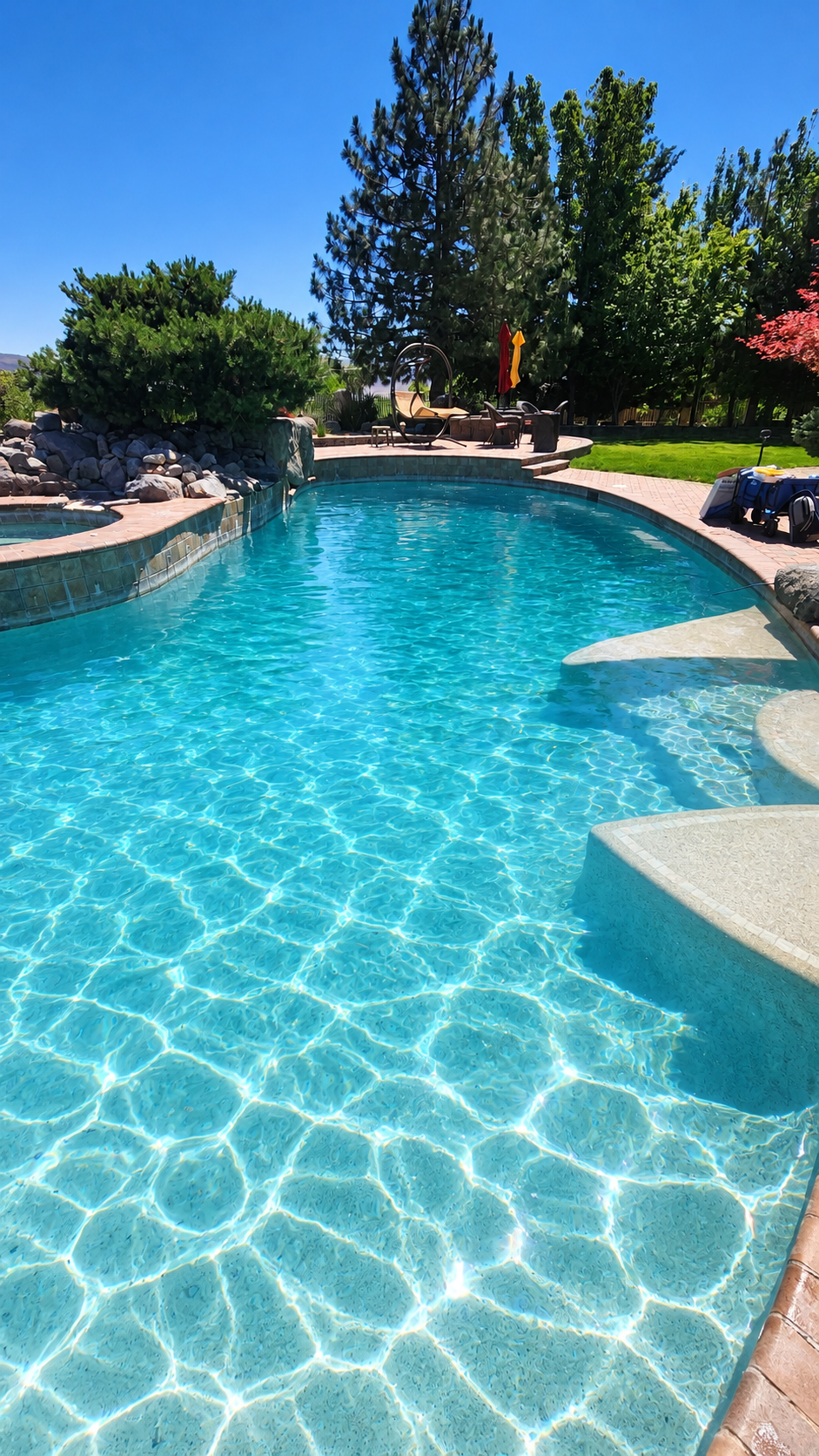 Sunny backyard pool with clear blue water, stone edges, lounge chairs, and tall trees in the background
