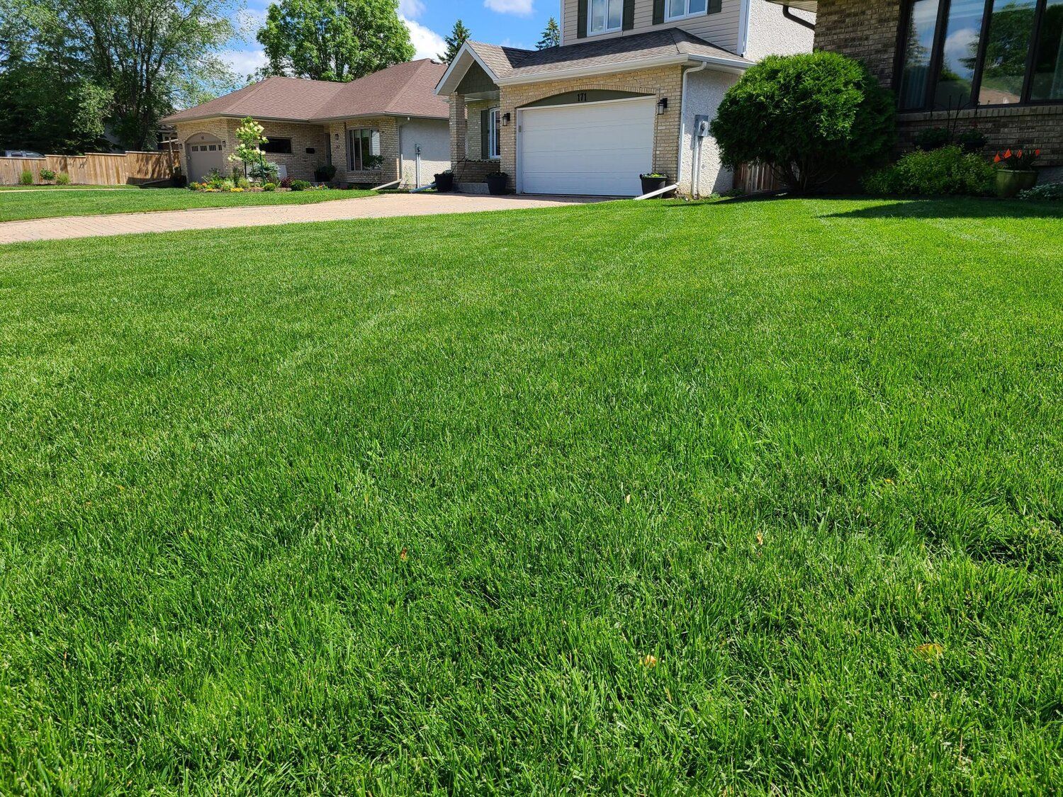 A large lush green lawn in front of a house.