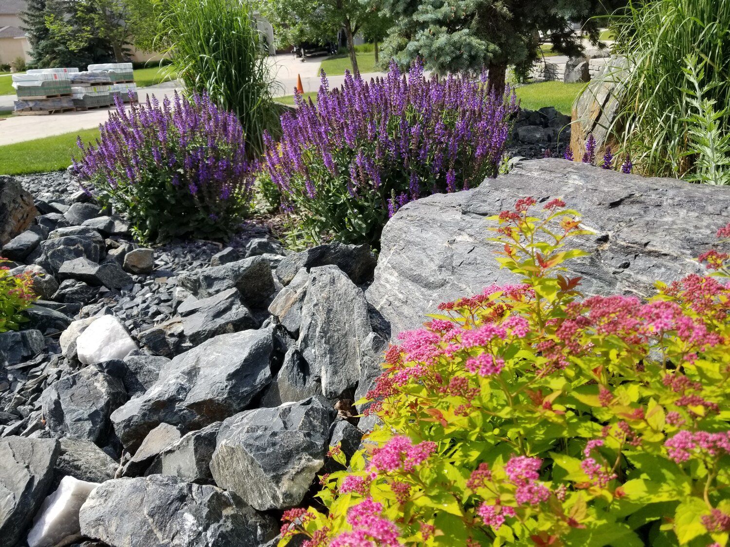 Rock Garden
