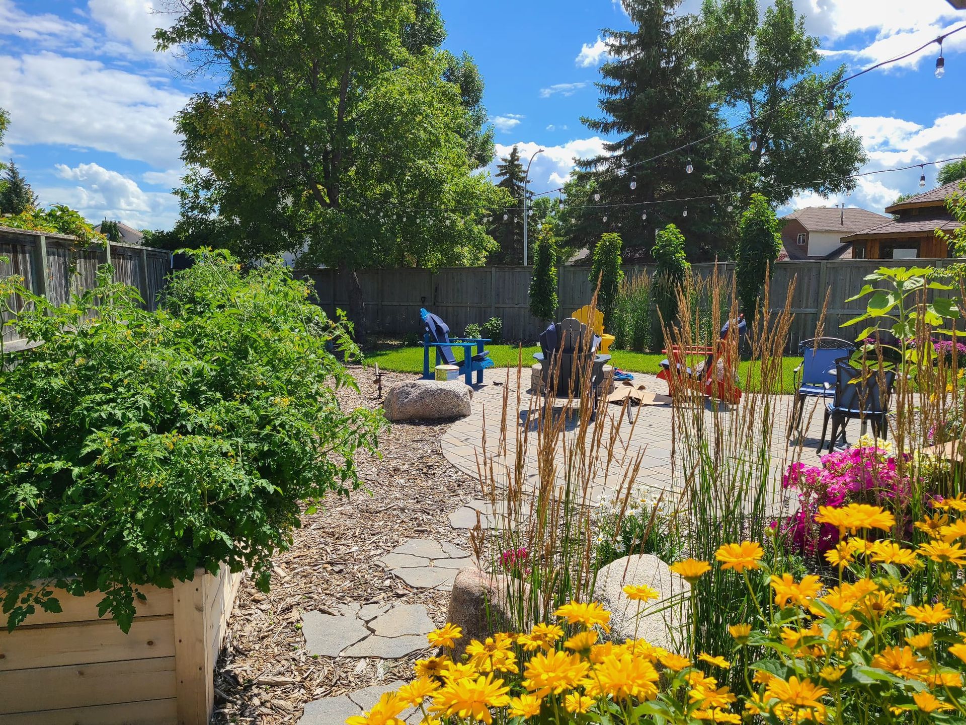 A backyard filled with lots of plants and flowers on a sunny day.