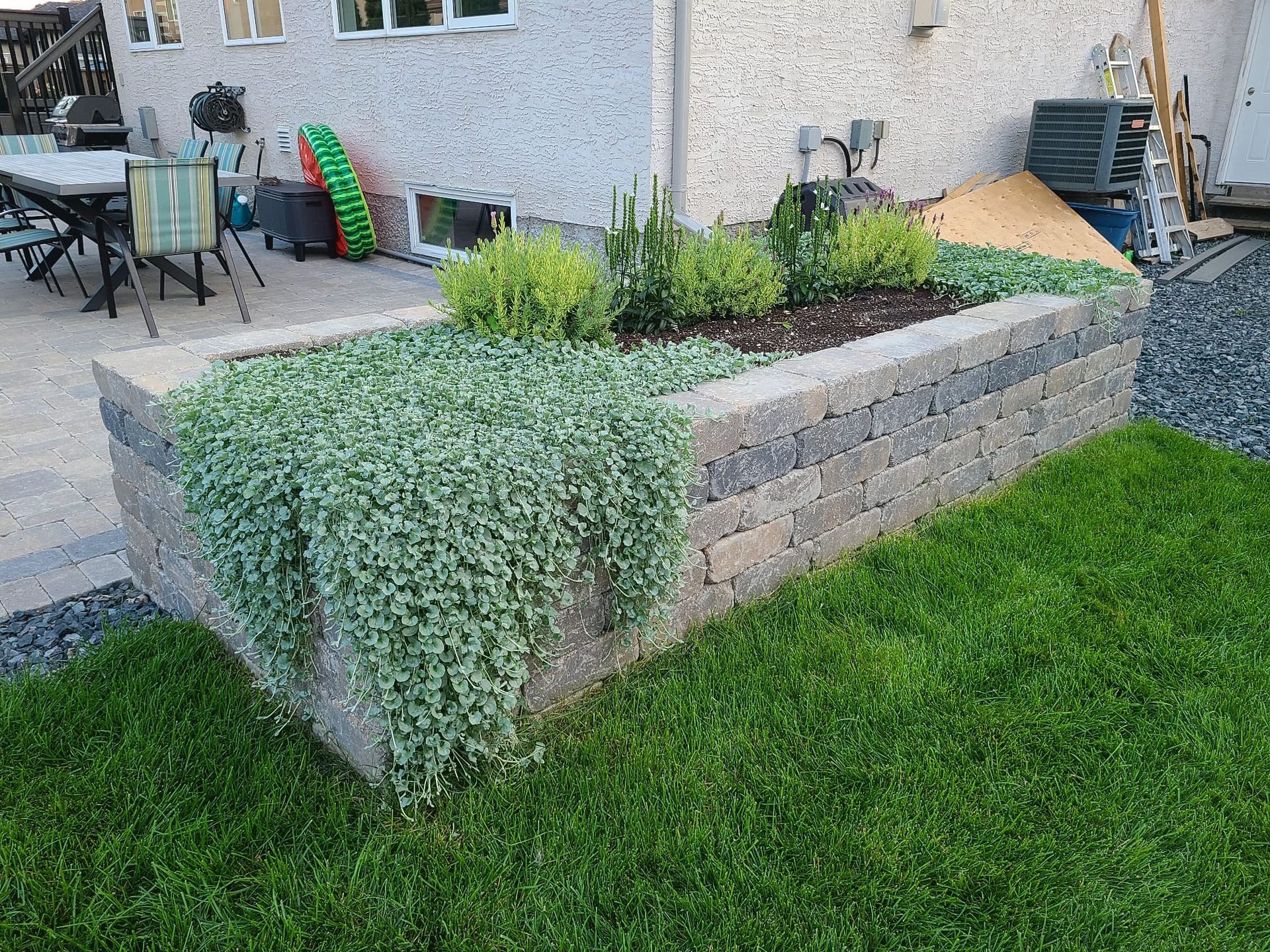 A raised bed with plants growing out of it in a backyard.