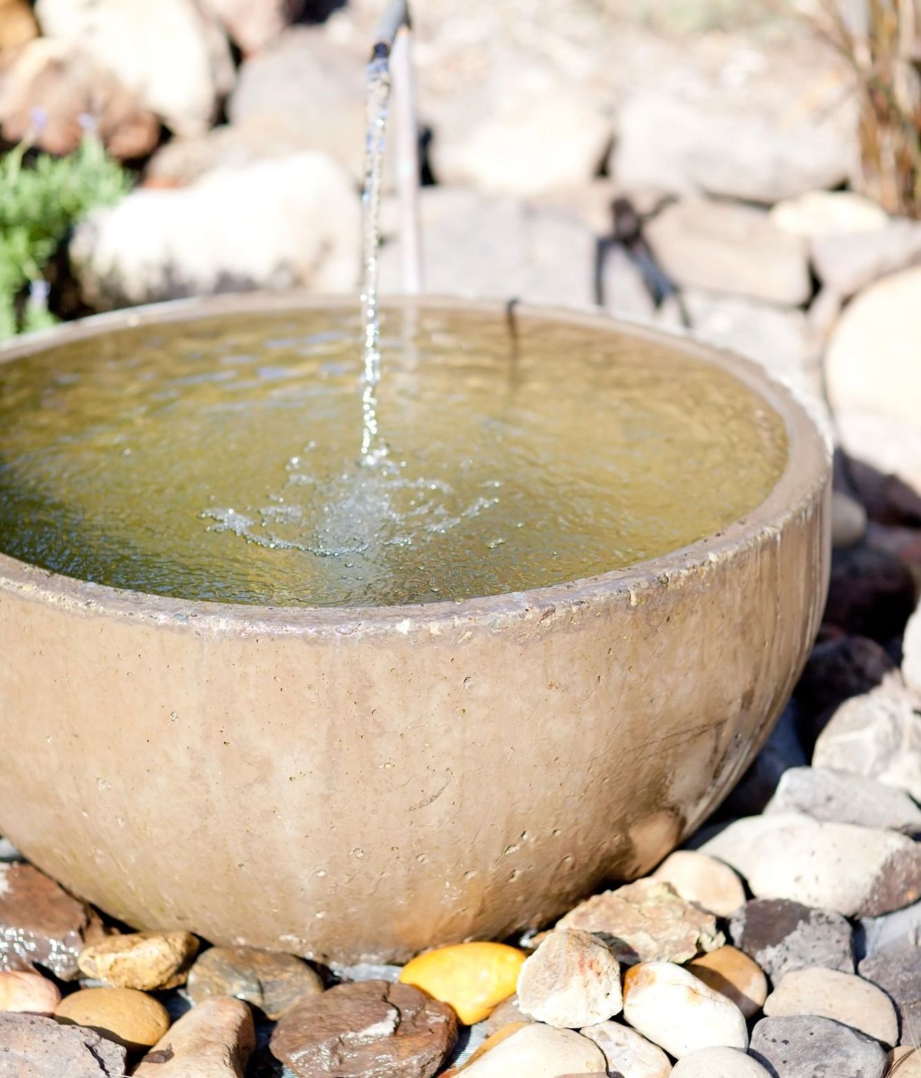 Water Feature