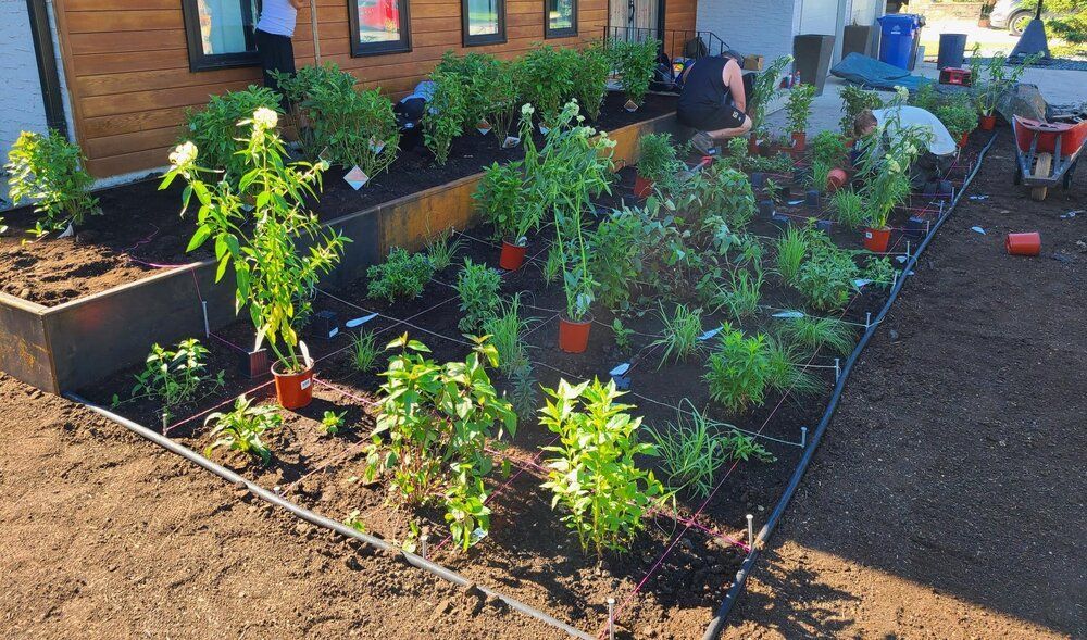 A planned garden with lots of potted plants in front of a house.