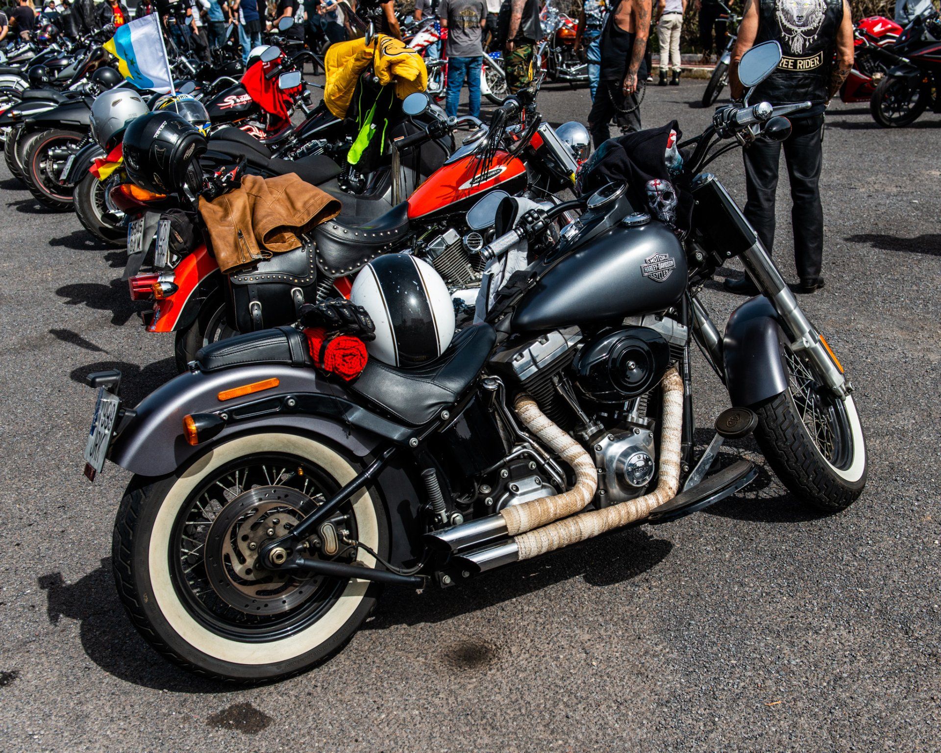 A harley davidson motorcycle is parked in a parking lot