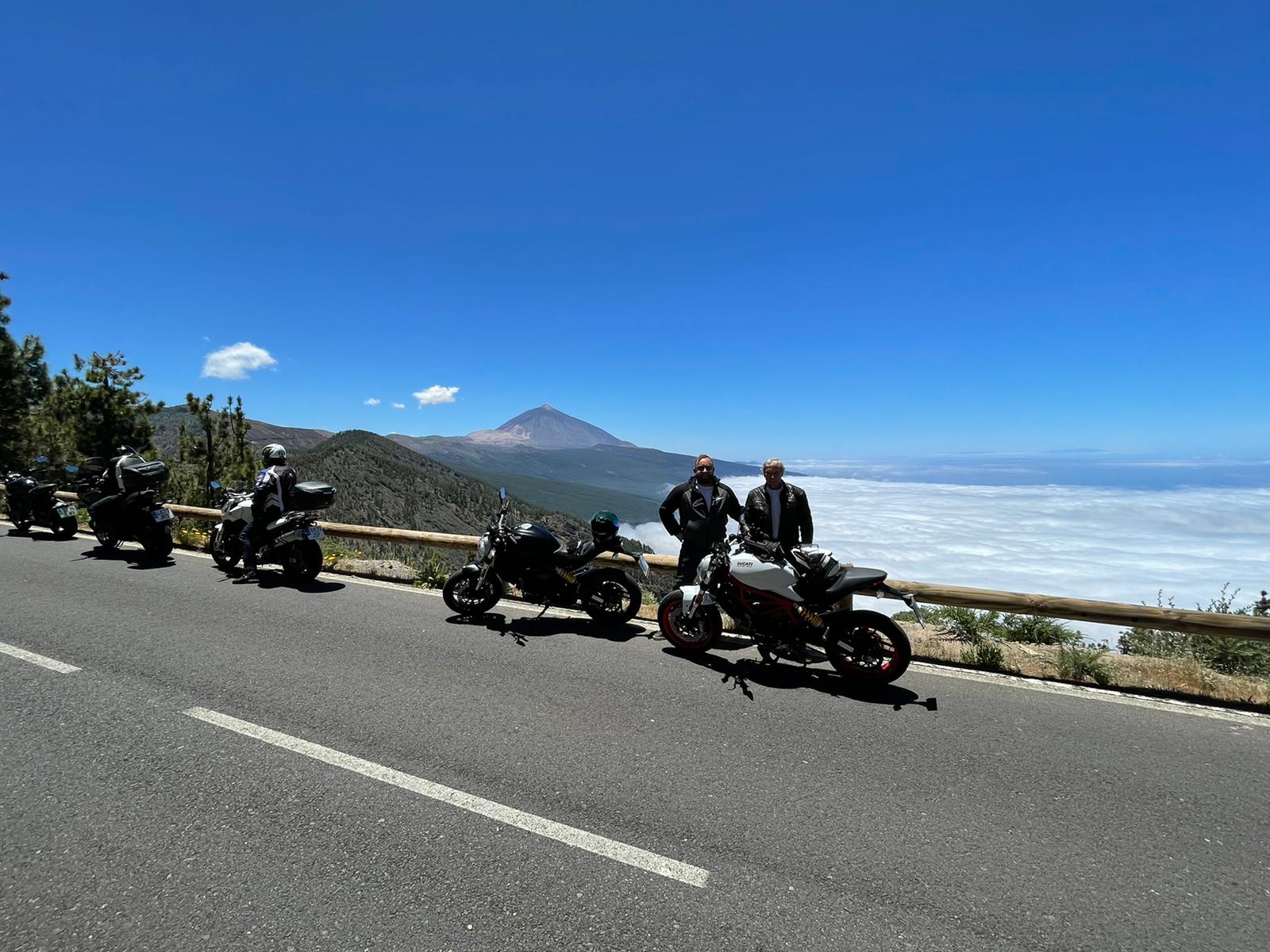 A row of motorcycles are parked on the side of a road.