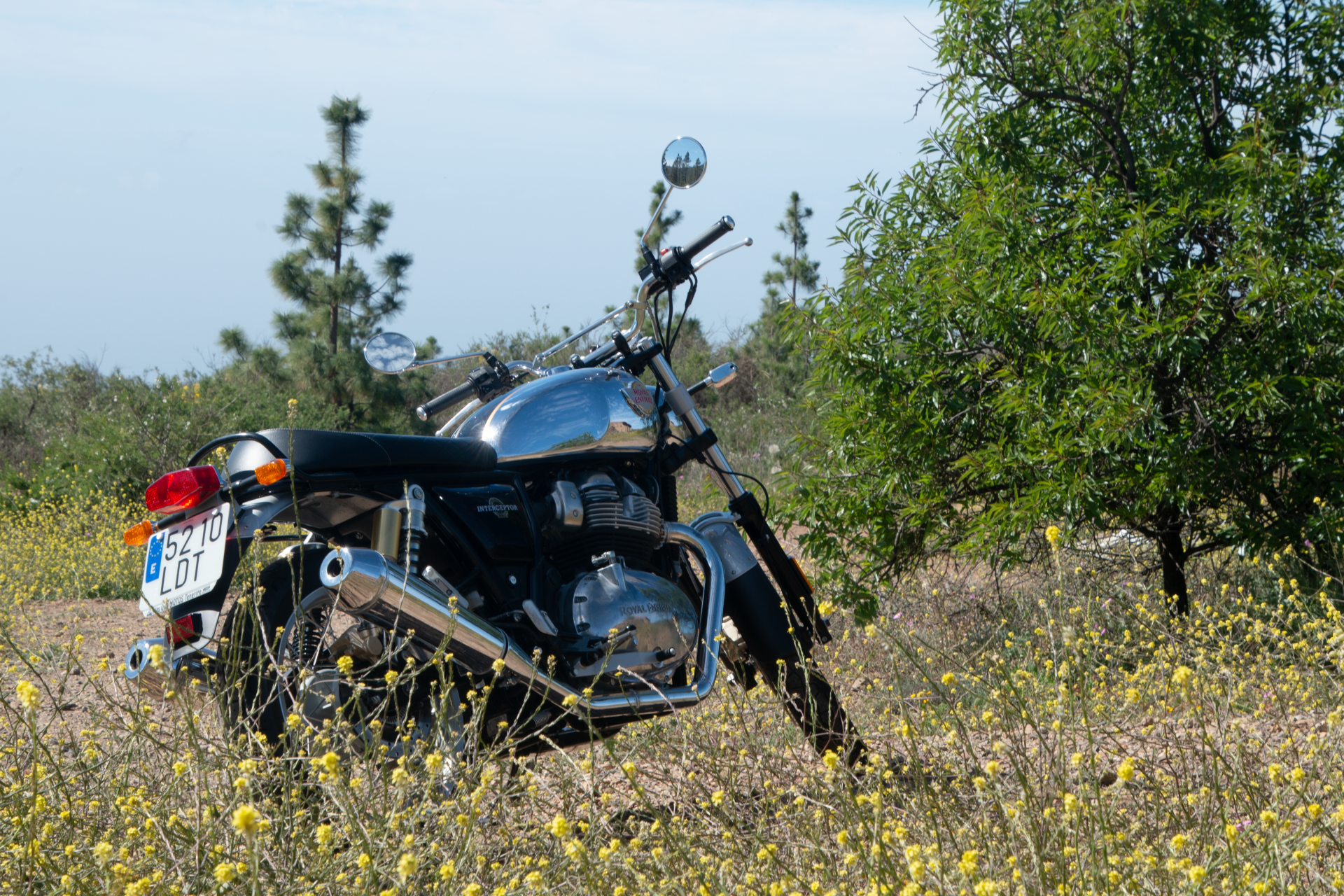 A motorcycle is parked in a field of yellow flowers.