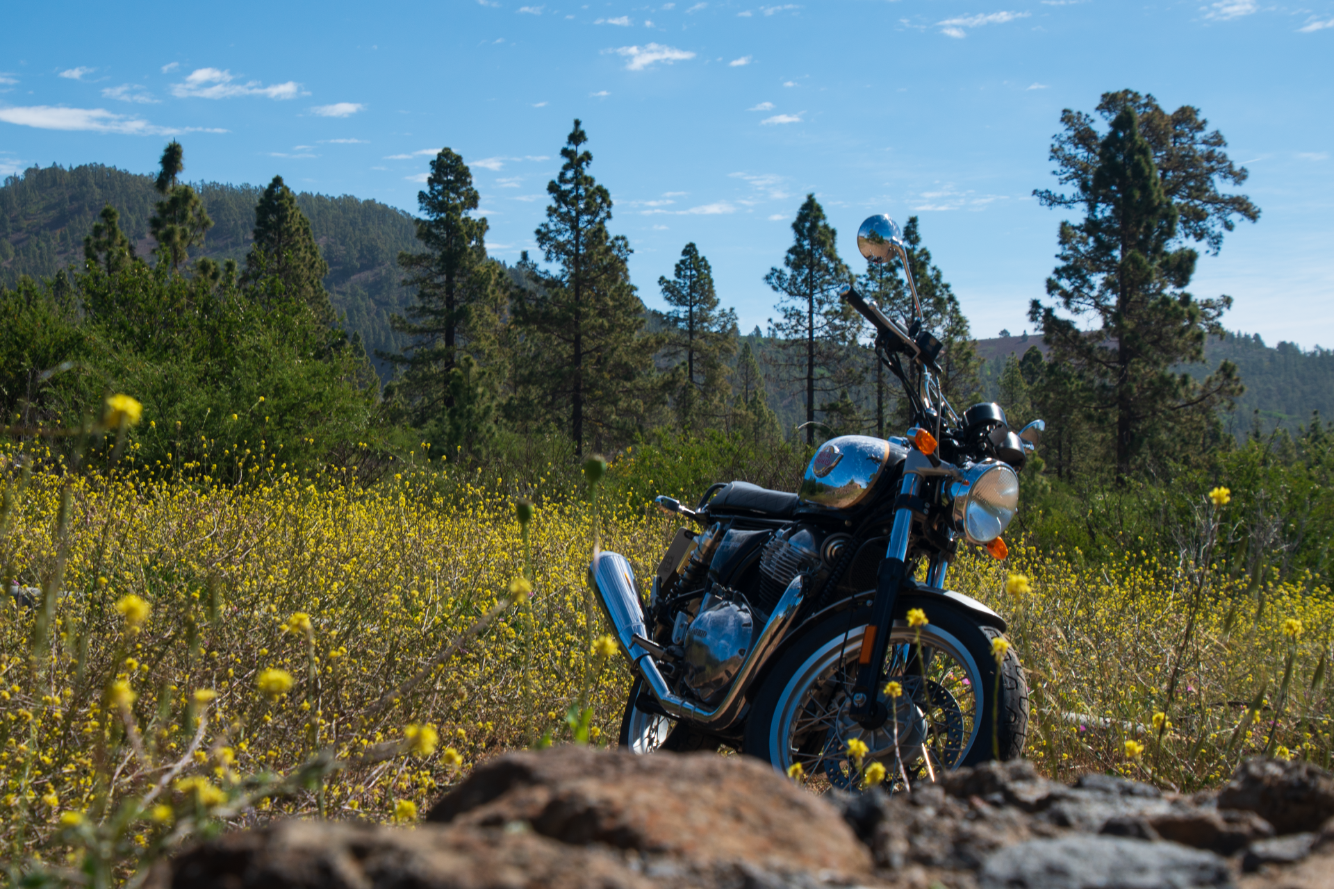 A motorcycle is parked in a field of yellow flowers.