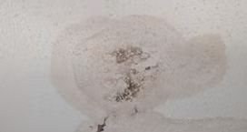 Interior Water Stains