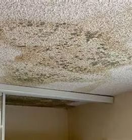 Roof Leaks