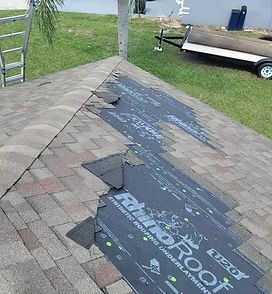 Shingle Damage