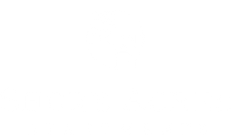 light version of property logo
