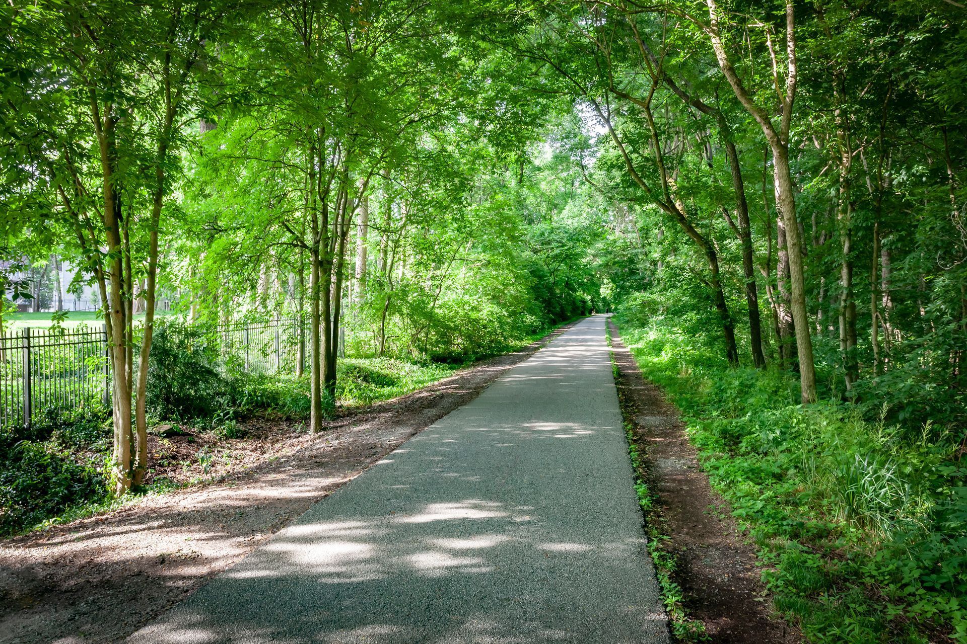 A path in the middle of a forest surrounded by trees.