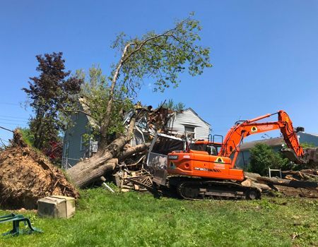 An orange excavator is removing a large tree that has fallen onto a light blue house, under a blue sky.