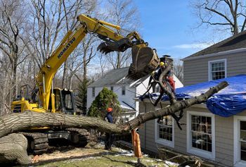 A yellow excavator is removing a fallen tree from a house with a blue tarp on the roof. A worker in an orange vest watches.