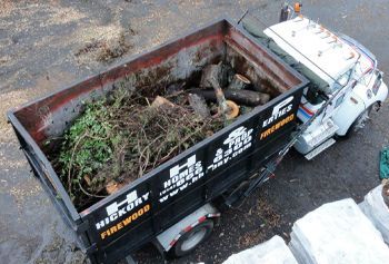 A black dump truck filled with green branches and logs, parked outside; the side reads 