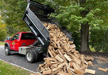 Red dump truck unloading a pile of firewood onto a driveway with a tree in the background.
