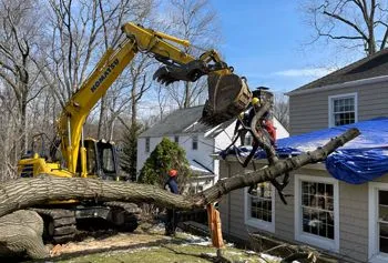Yellow excavator lifting a fallen tree off a white house with workers nearby
