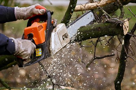 Gloved hands using an orange chainsaw to cut a tree branch, with wood chips flying