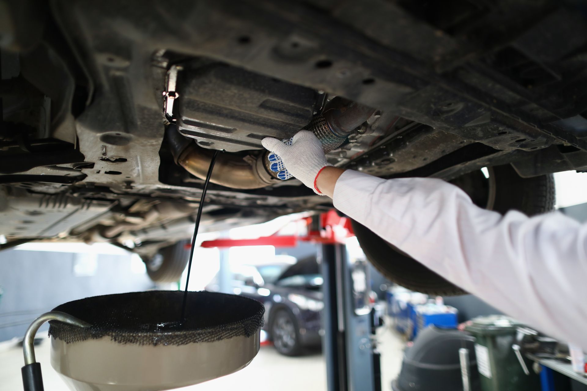 Oil Filter | Palumbo's Automotive