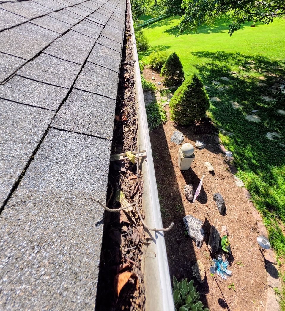 Roof edge with gutter beside a grassy yard and tree shadows, showing debris and drainage issues