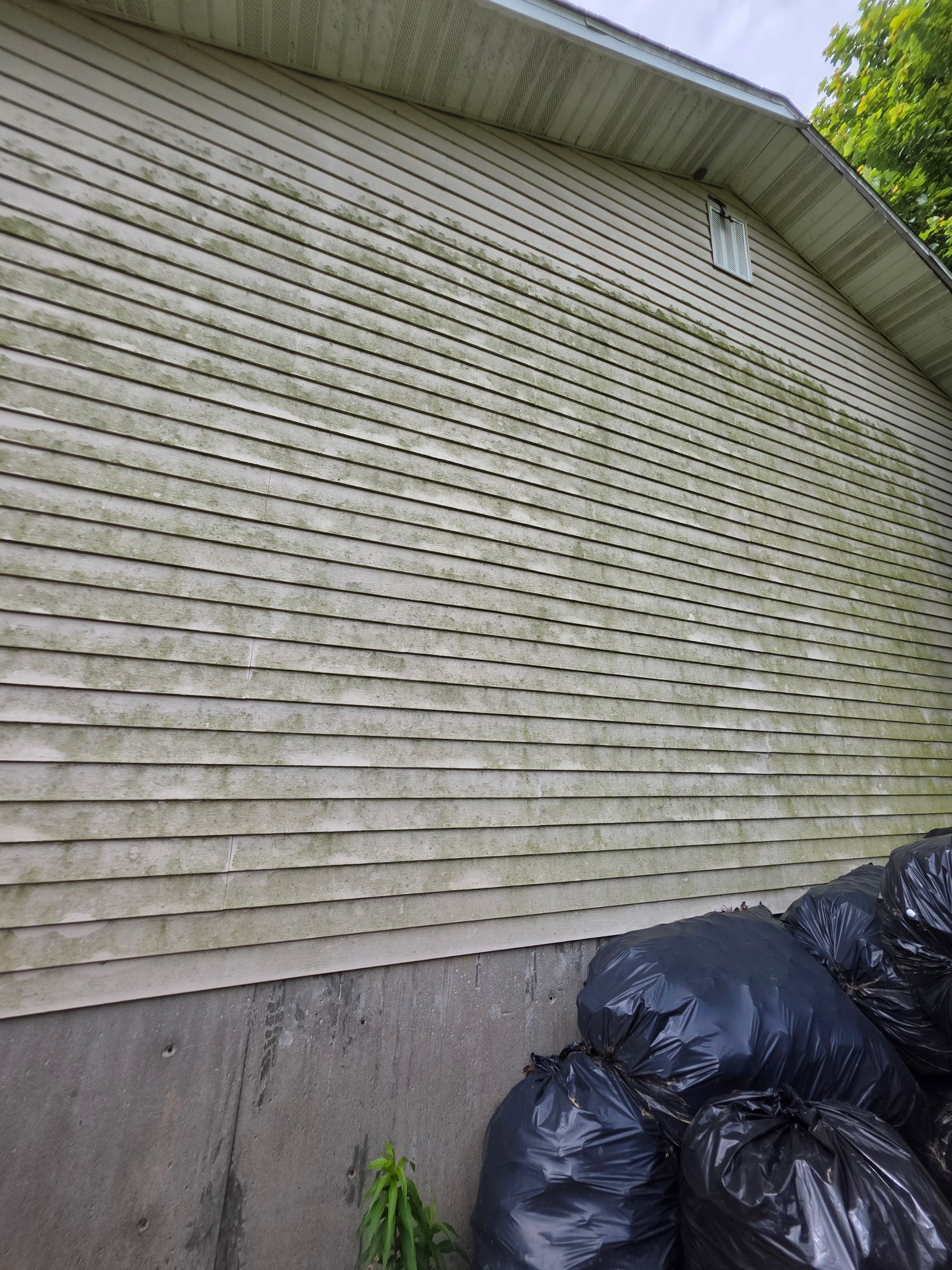 White shingled house wall with concrete foundation and black trash bags at the bottom corner
