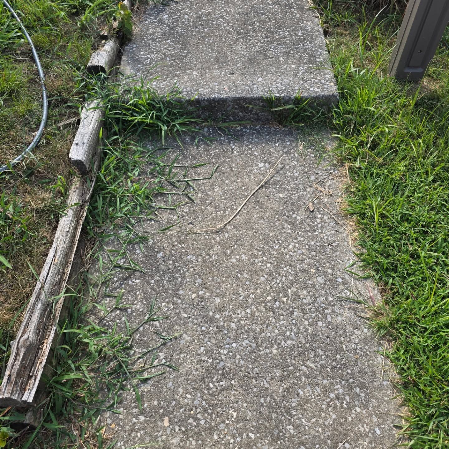 Concrete garden path with cracks, bordered by grass and a weathered wooden edge.
