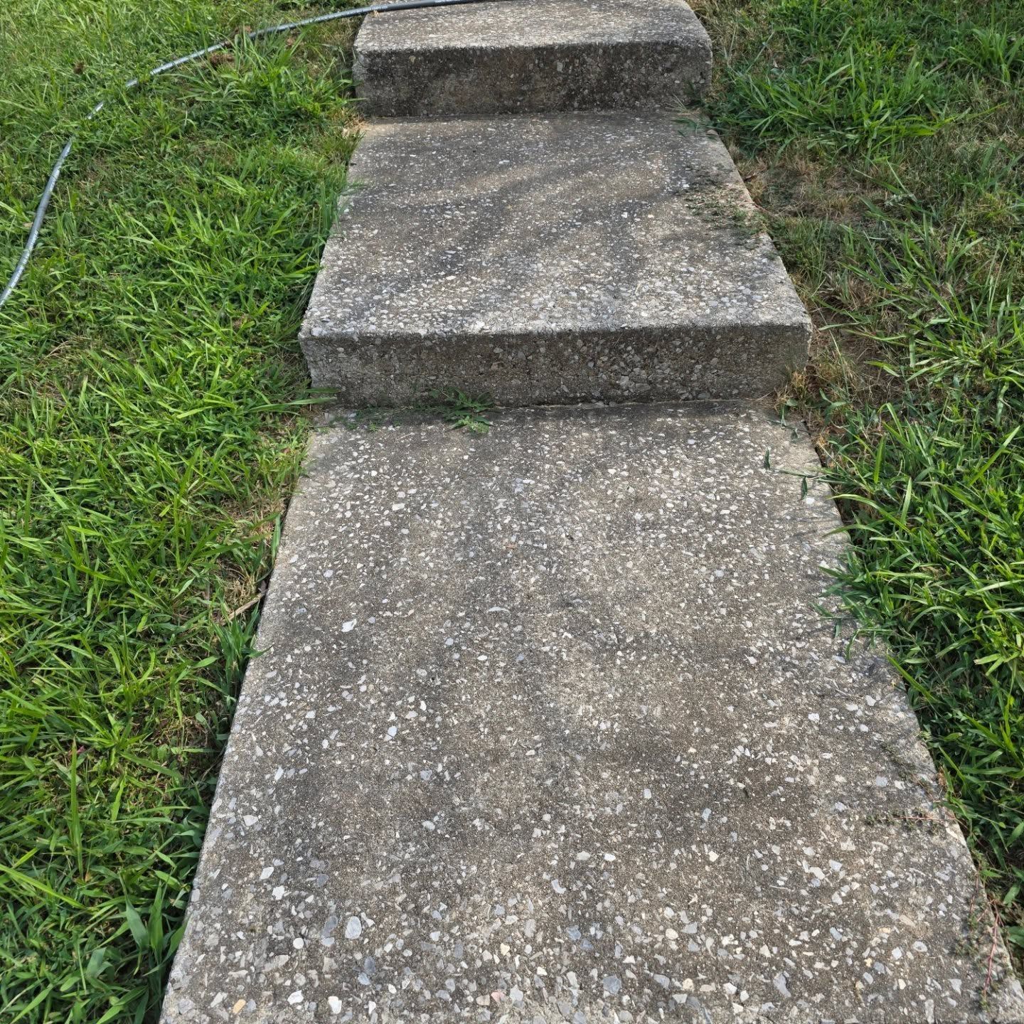 Concrete garden path steps bordered by grass