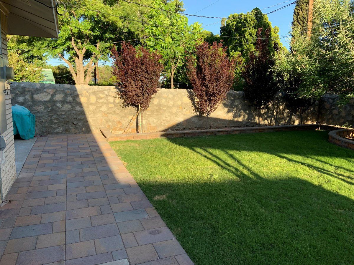 House Backyard — El Paso, TX — Daniel's Tree & Landscaping, Inc.