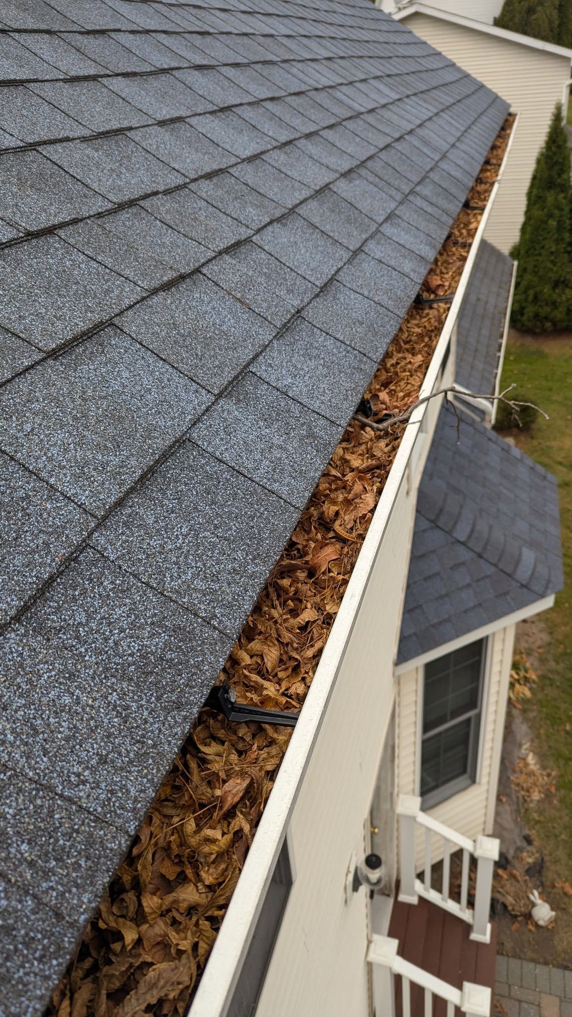 Gutter filled with leaves along a gray shingled roof above a house exterior