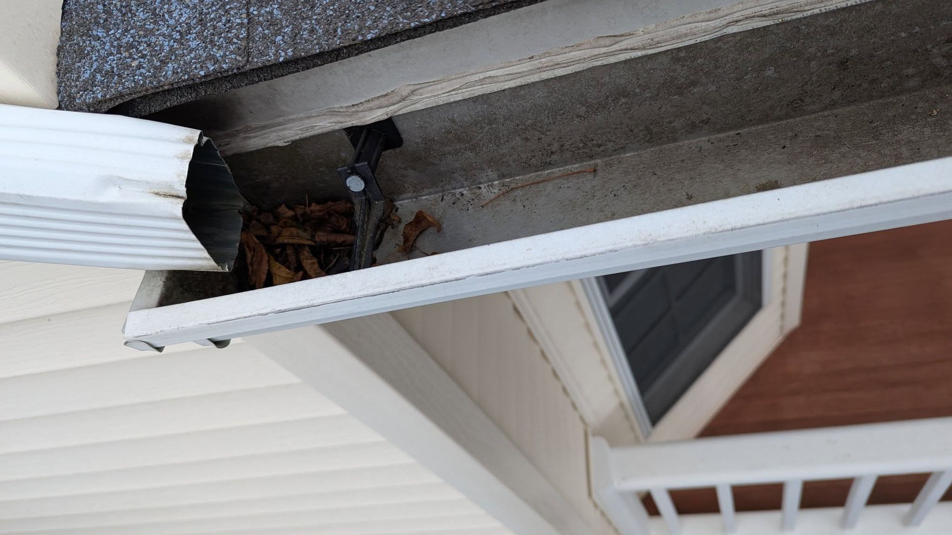 Close-up of a gutter with leaves and debris beside a house exterior and window