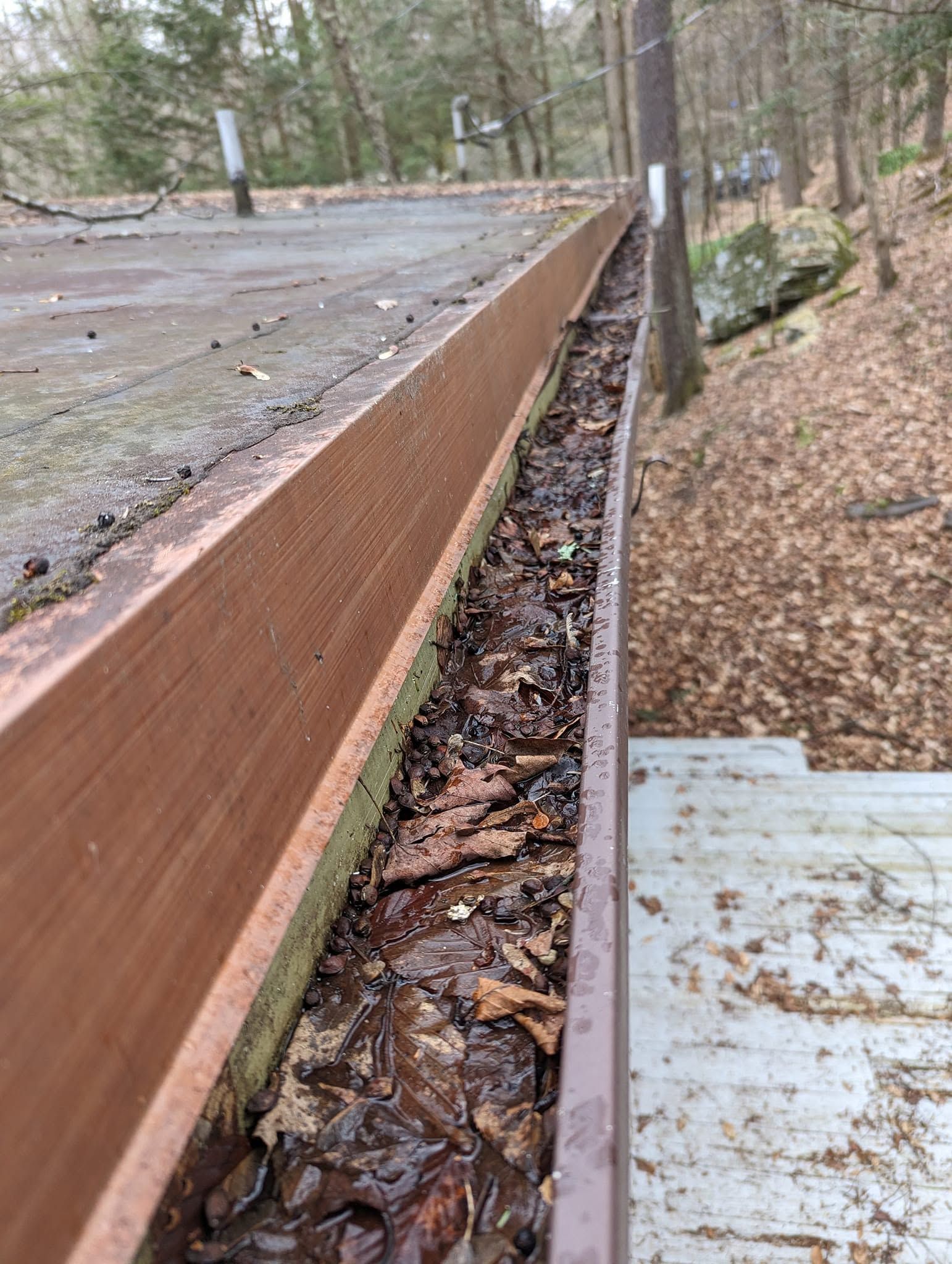 Wooden deck edge with rotting debris below, beside a leaf-covered wooded slope