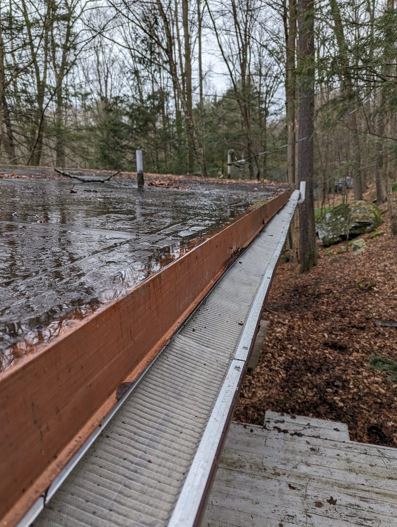 Rust-colored metal roof gutter draining into a white downspout beside a wet wooded walkway