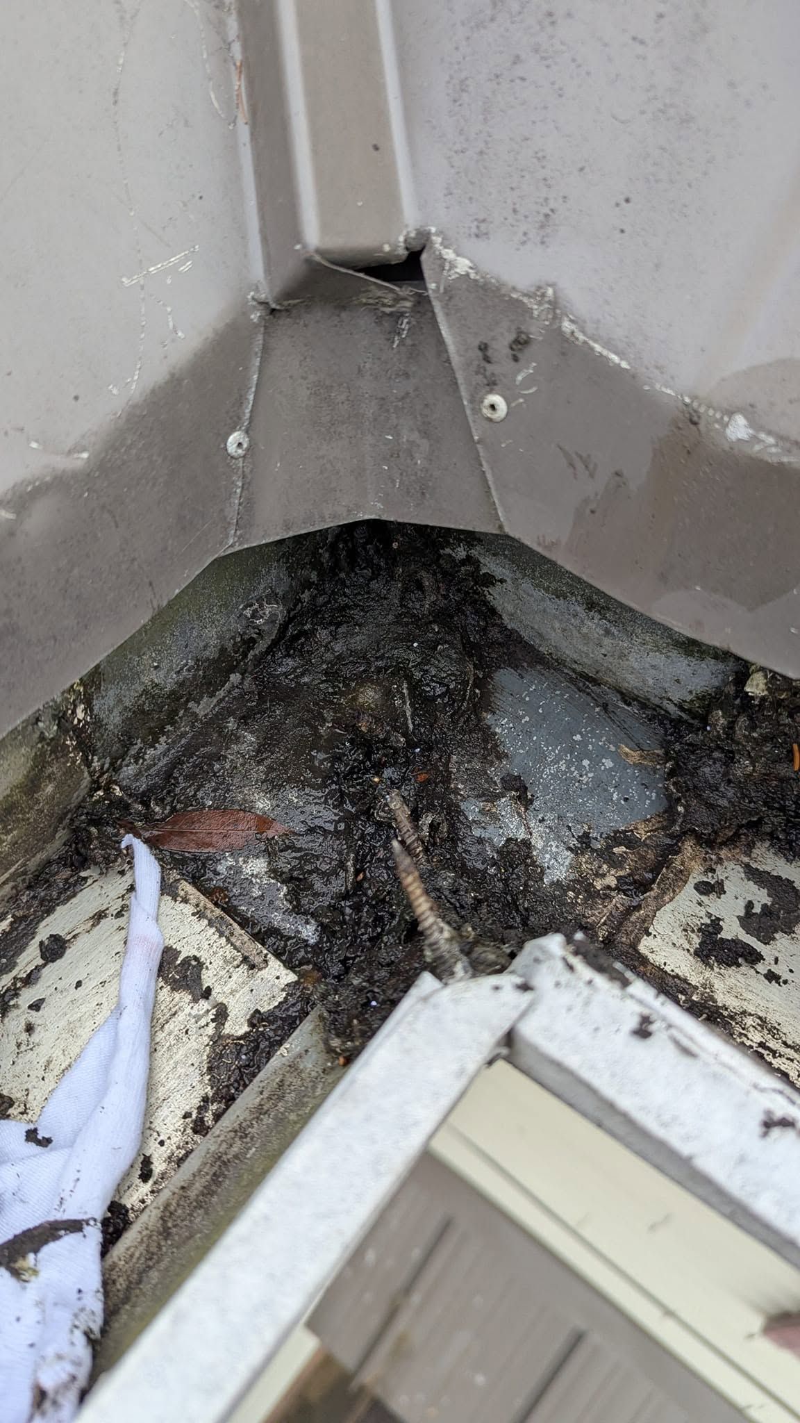 Water-damaged corner of a ceiling with peeling paint and dark mold buildup near a window frame.