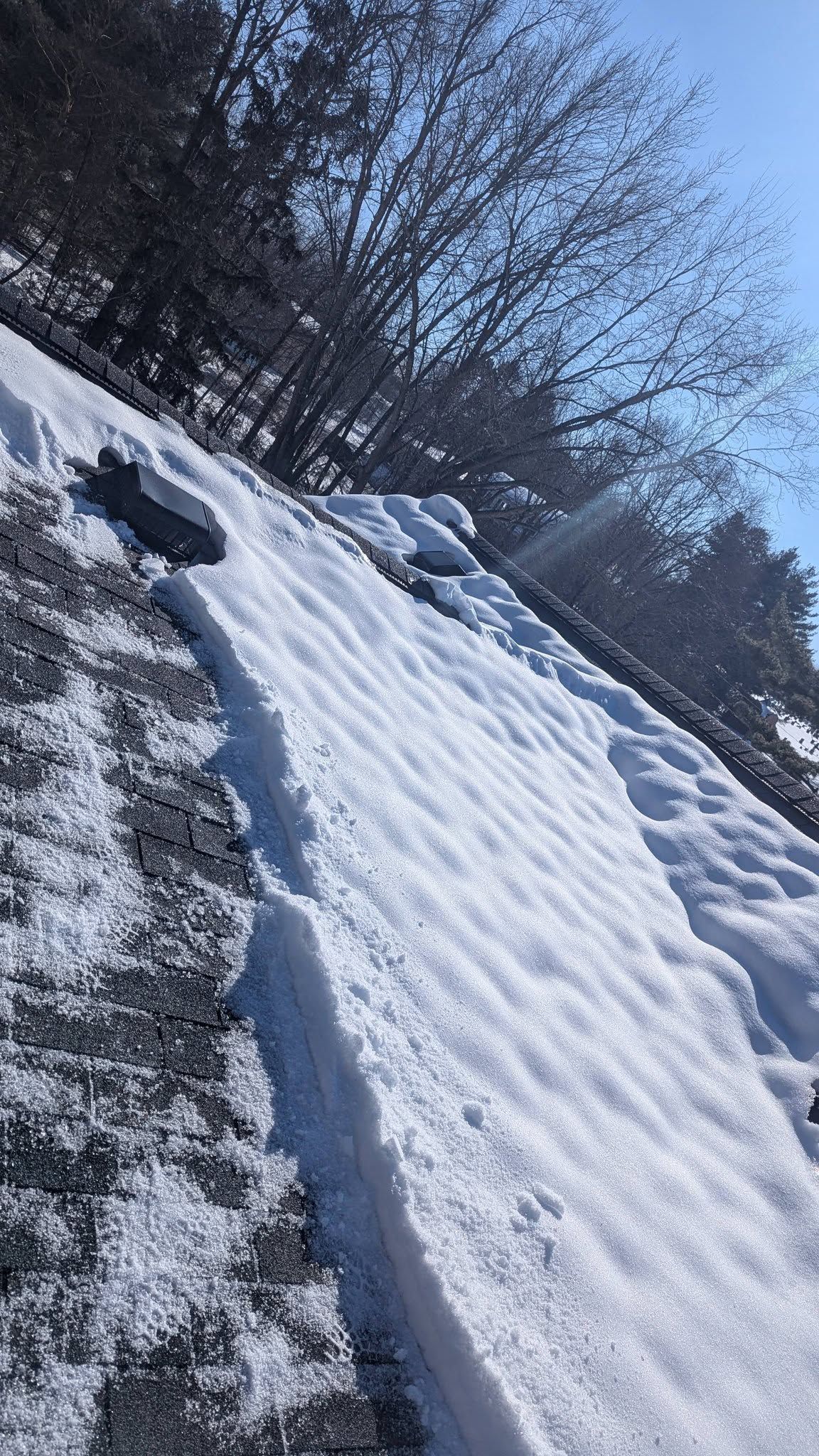Snow-covered slope with dark trees under a blue sky