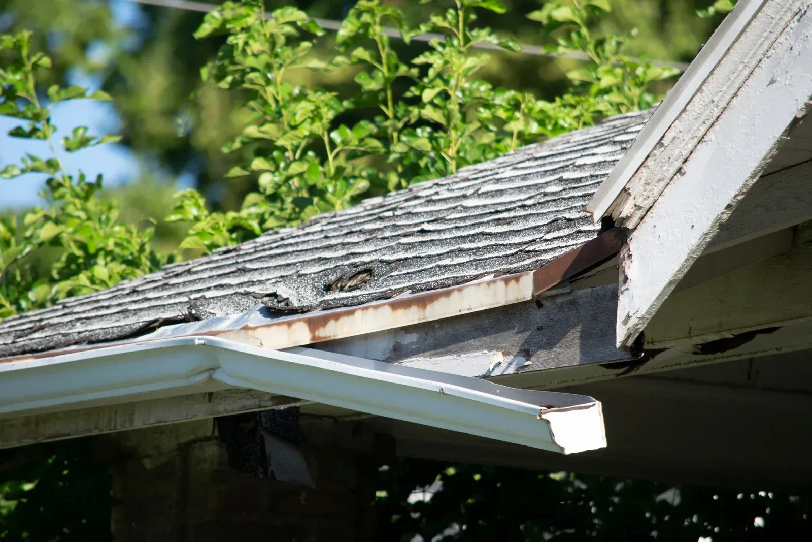 Damaged house roof with a broken gutter and peeling shingles, with green trees in the background
