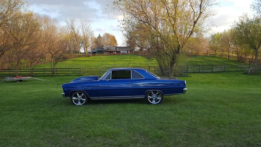 A blue car is parked in a grassy field.