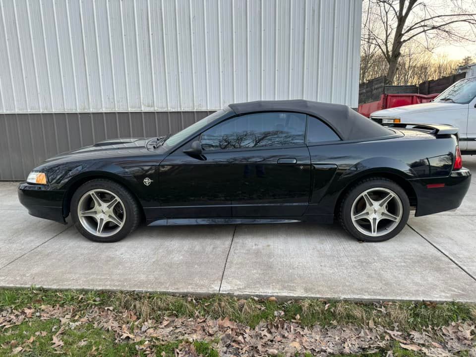 A black mustang convertible is parked on a sidewalk in front of a building.