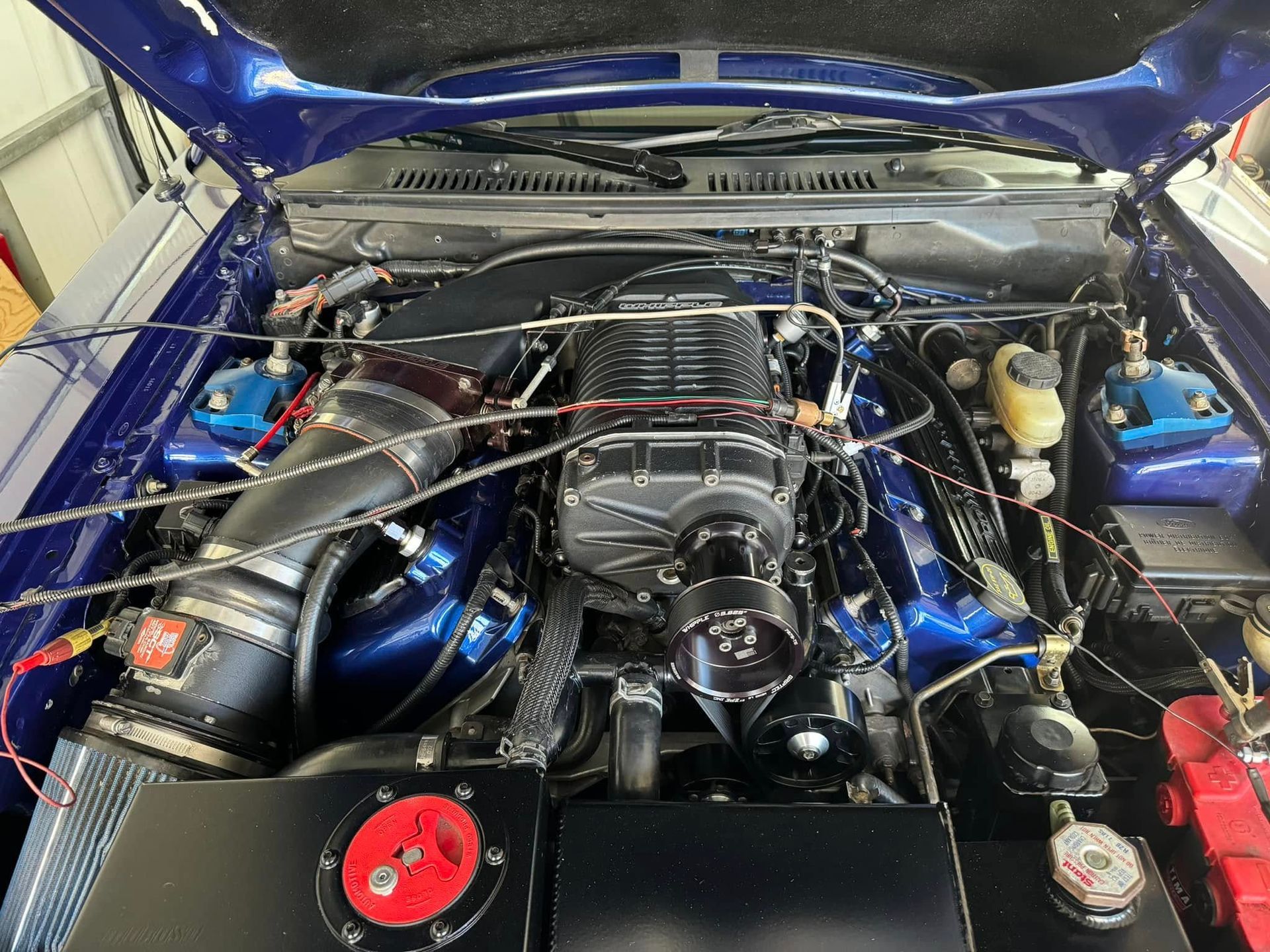 The engine of a blue mustang is shown with the hood open.