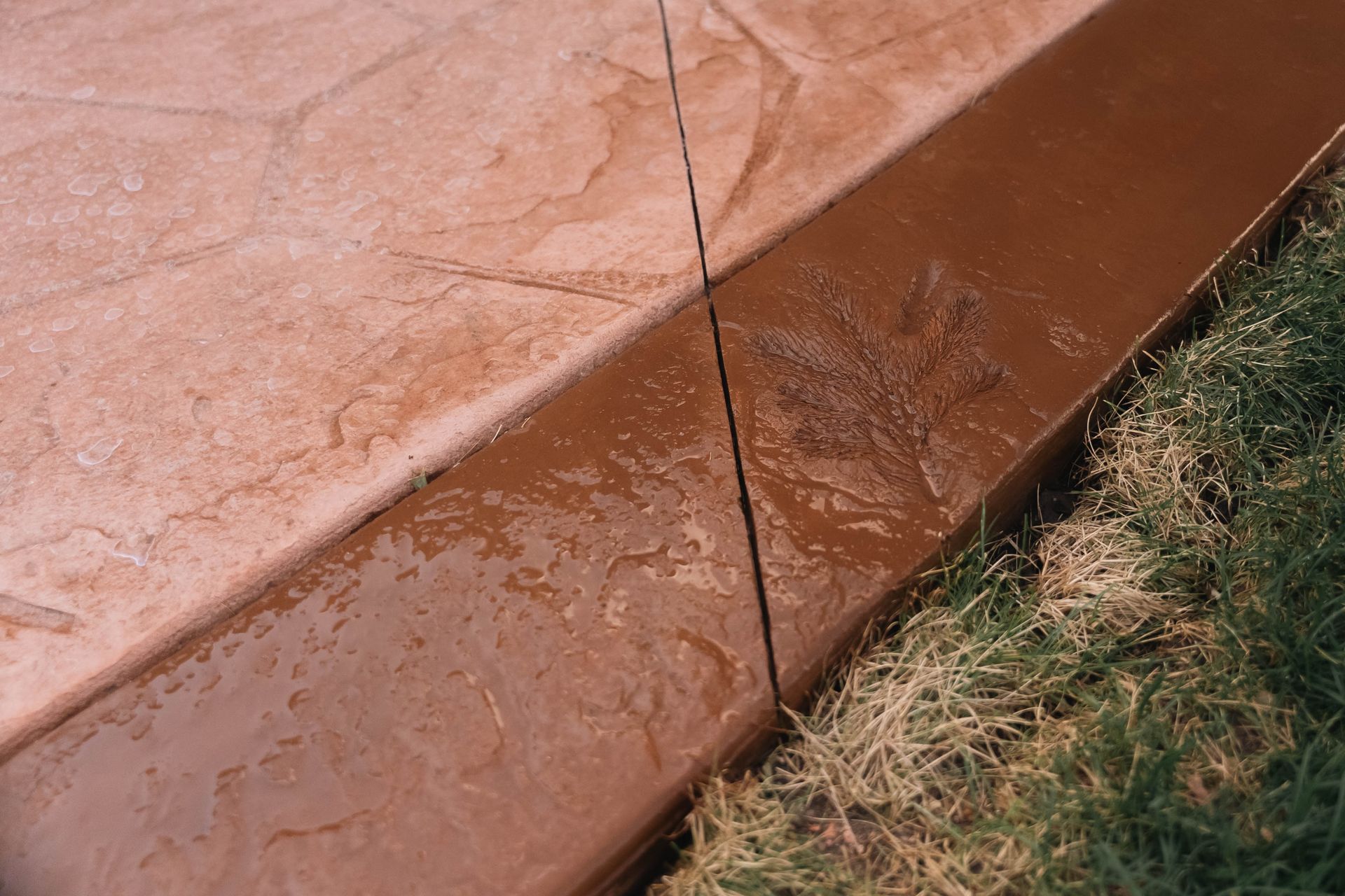 Brown concrete walkway next to a brown border, grass on the right.
