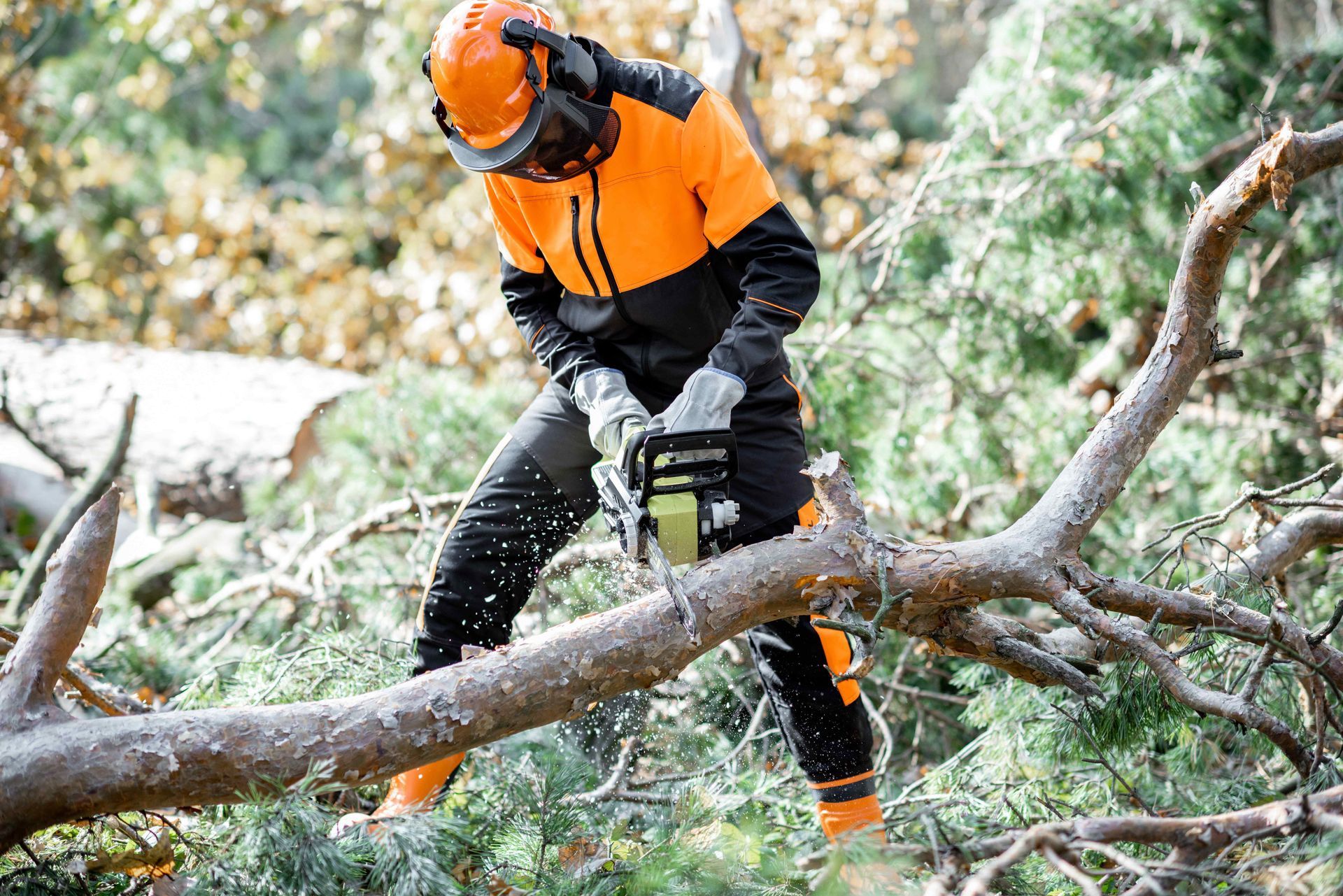 A man is cutting a tree branch with a chainsaw.
