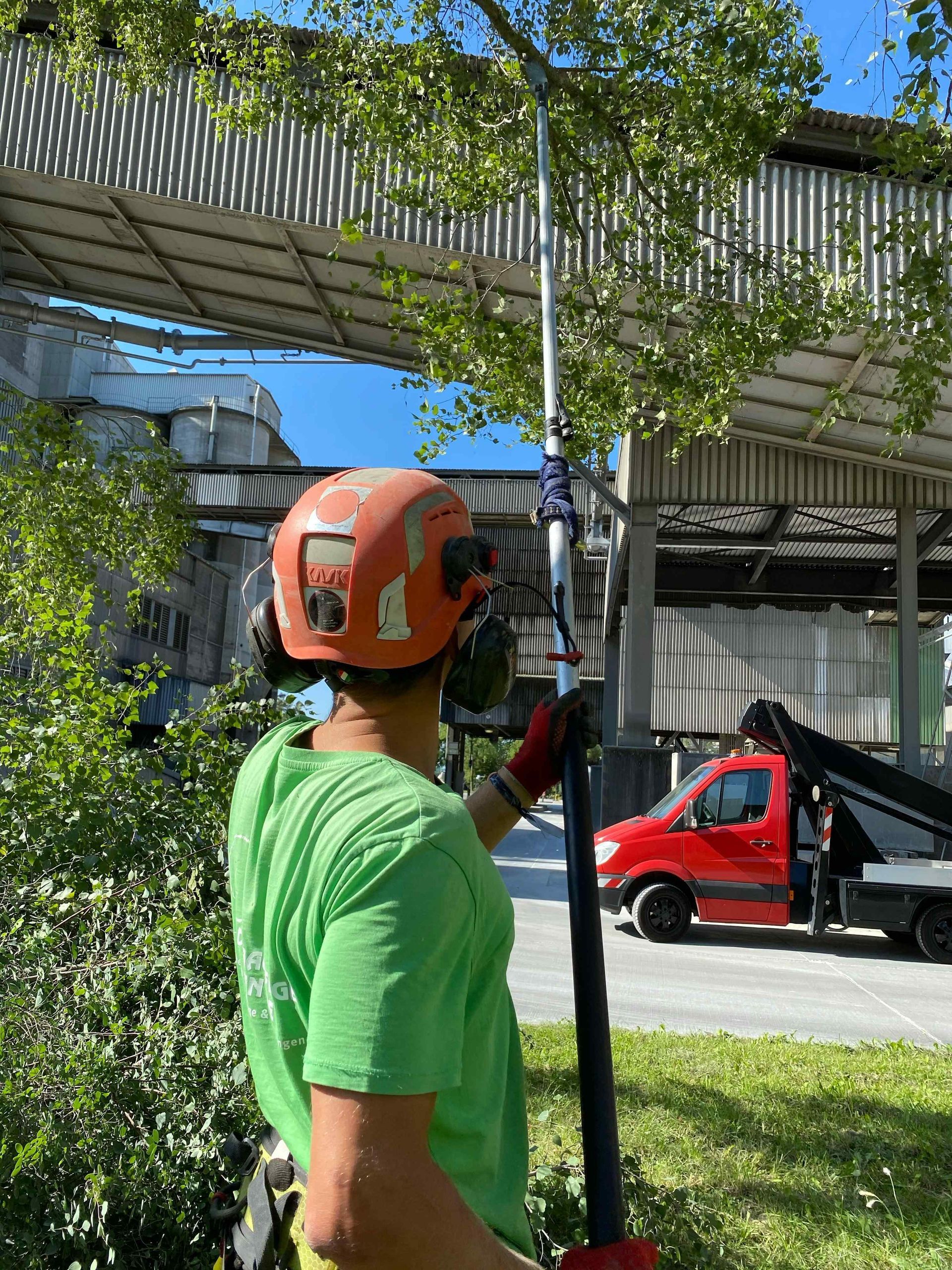 A man wearing a helmet and a green shirt is trimming a tree.