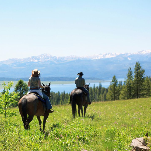 Horseback ride above Hebgen Lake